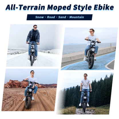500W Electric Bicycle for Adults with 36V 10.4Ah Battery, 16" Fat Tires, 20MPH Speed, UL2849 Certified E-Bike